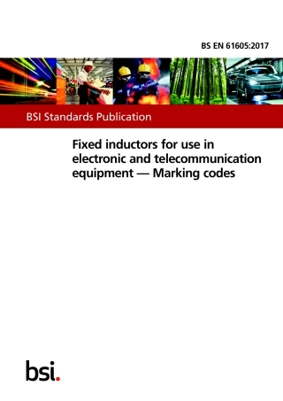 BS EN 61605-2017.pdf