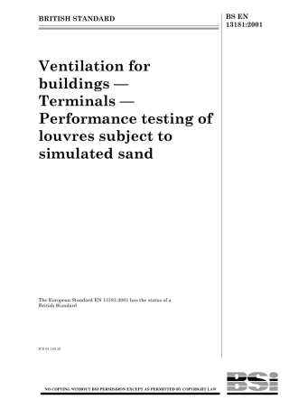 BS EN 13181-2001.pdf