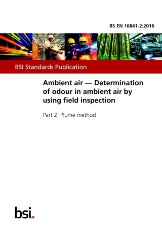 BS EN 16841-2-2016.pdf