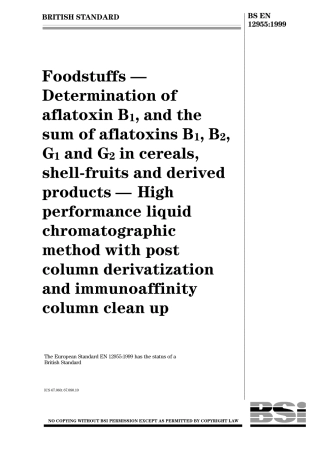 BS EN 12955-1999.pdf