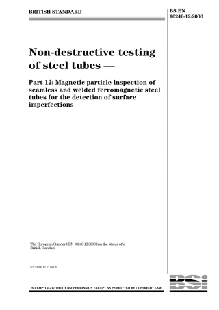 BS EN 10246-12-2000.pdf