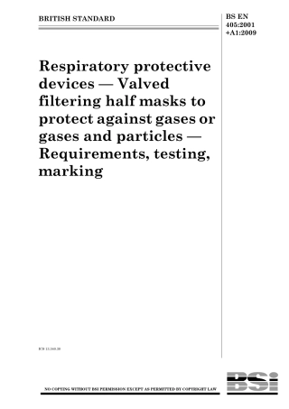 BS EN 00405-2001 + A1-2009.pdf