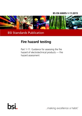 BS EN 60695-1-11-2015.pdf