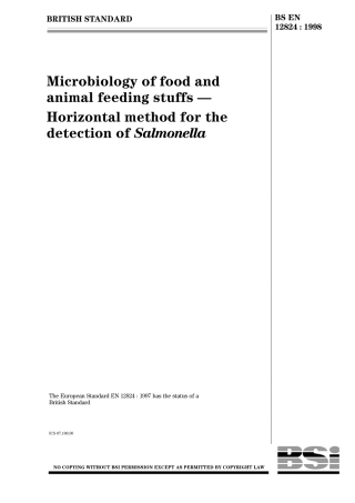 BS EN 12824-1998.pdf