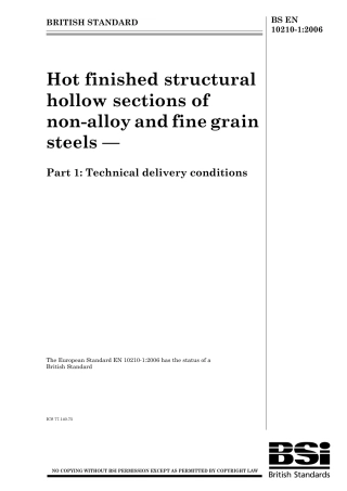 BS EN 10210-1-2006.pdf