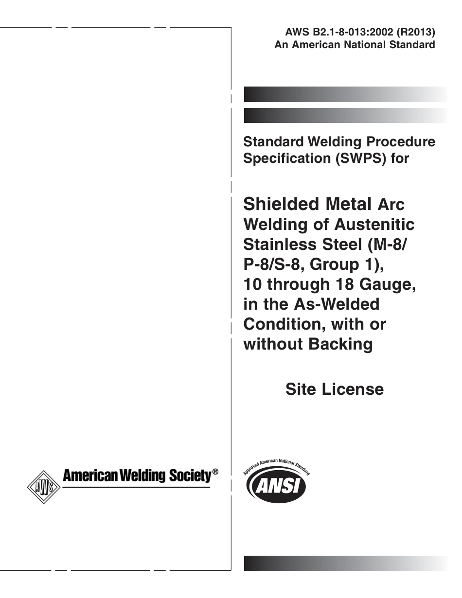 AWS B2.1-8-013-2002 (2013).pdf_第1页