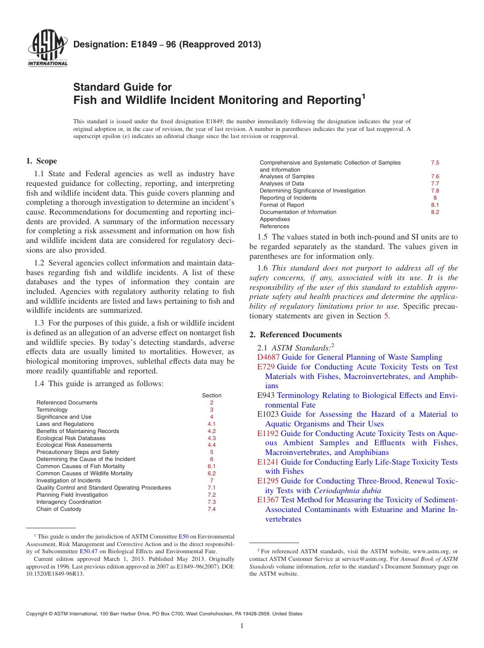 ASTM E1849 - 96 (2013).pdf_第1页