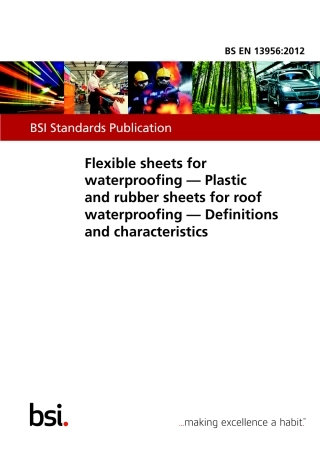 BS EN 13956-2012.pdf