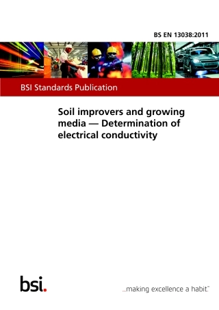 BS EN 13038-2011.pdf