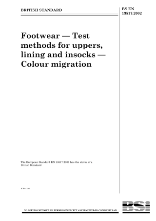 BS EN 13517-2002.pdf