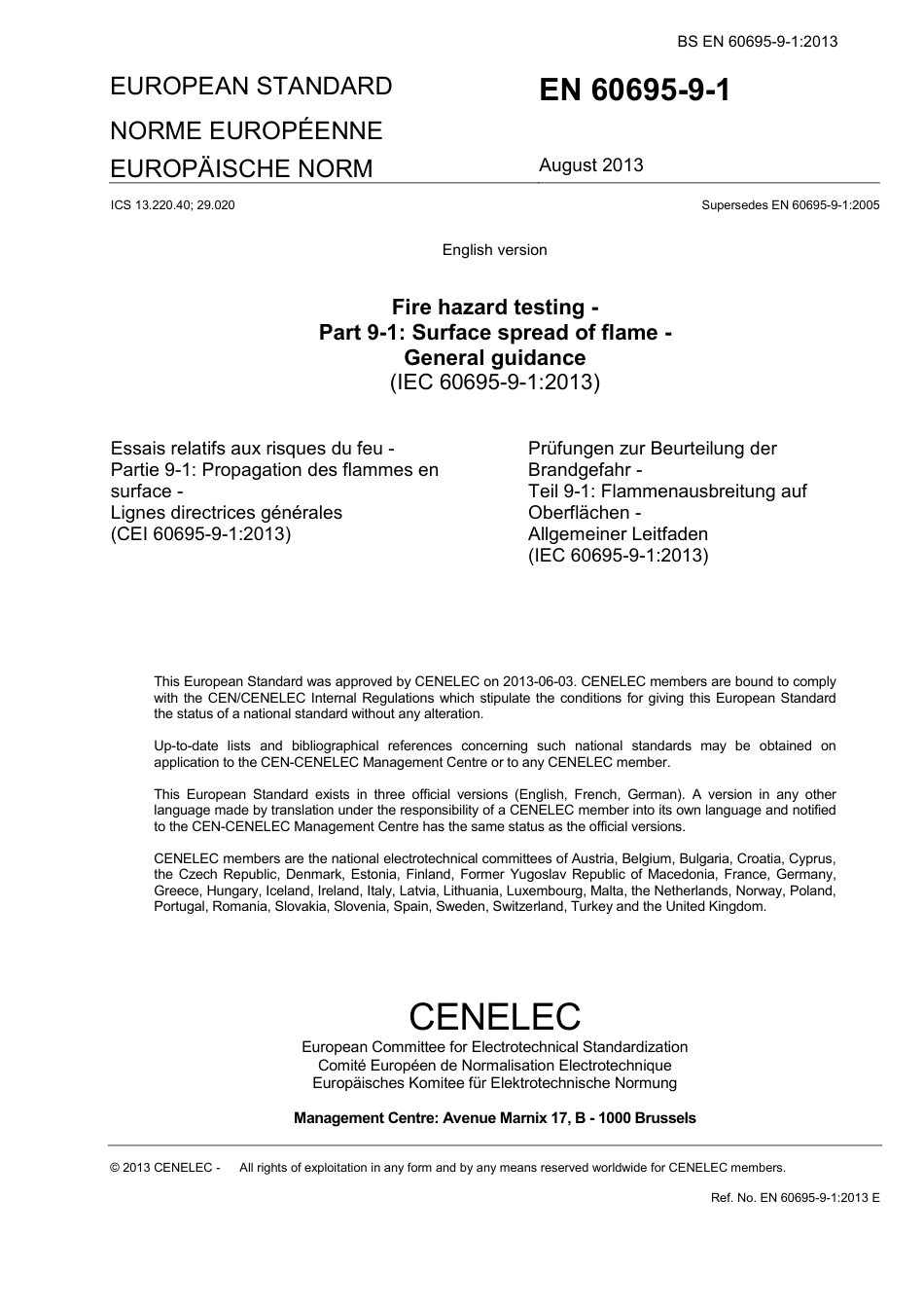 BS EN 60695-9-1-2013.pdf_第3页