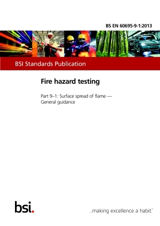 BS EN 60695-9-1-2013.pdf