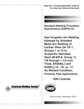 AWS B2.1-1 - 8-229-2002-AMD1-2010 (2013).pdf
