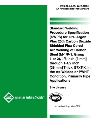 AWS B2.1-1-234-2020-AMD1 (2022).pdf