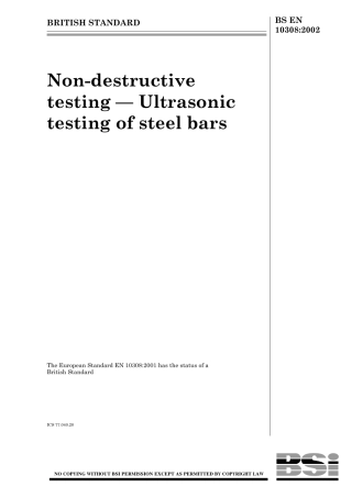 BS EN 10308-2002.pdf