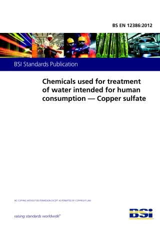 BS EN 12386-2012.pdf