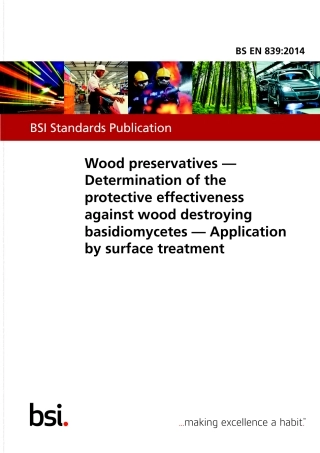 BS EN 00839-2014.pdf