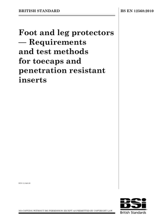 BS EN 12568-2010.pdf