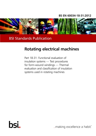 BS EN 60034-18-31-2012.pdf