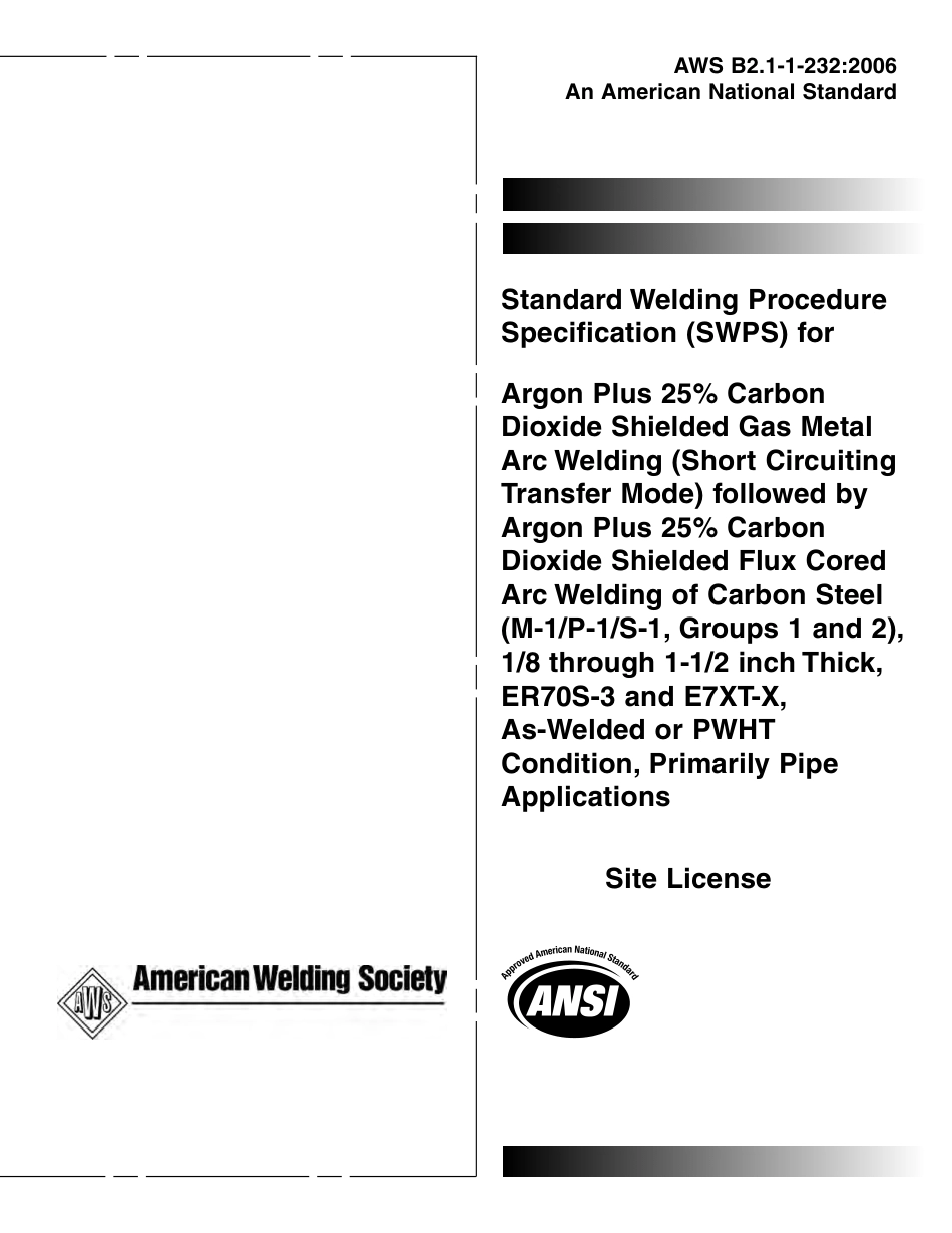 AWS B2.1-1-232-2006.pdf_第1页