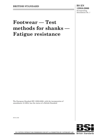 BS EN 12958-2000 (2004).pdf