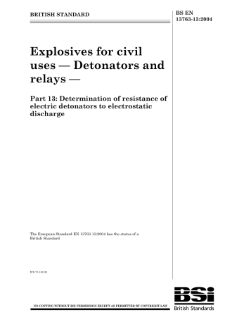 BS EN 13763-13-2004.pdf