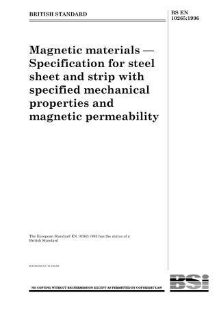 BS EN 10265-1996 (1999).pdf