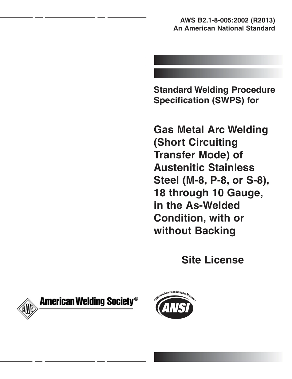 AWS B2.1-8-005-2002 (2013).pdf_第1页