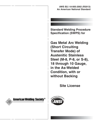 AWS B2.1-8-005-2002 (2013).pdf