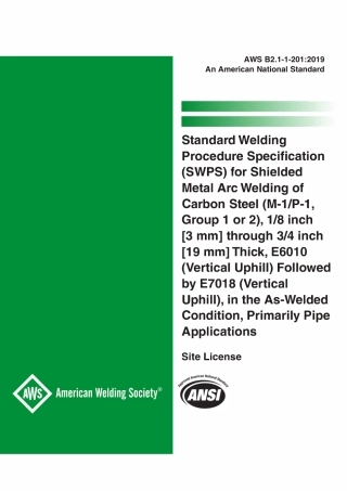 AWS B2.1-1-201_2019.pdf