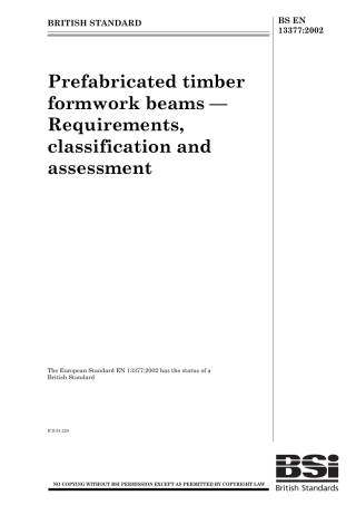 BS EN 13377-2002.pdf