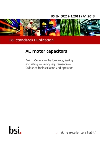 BS EN 60252-1-2011 + A1-2013.pdf