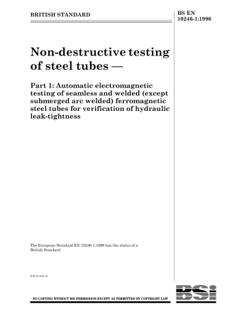 BS EN 10246-1-1996 (1999).pdf