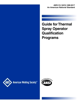 AWS C2.16 - C2.16M-2017.pdf