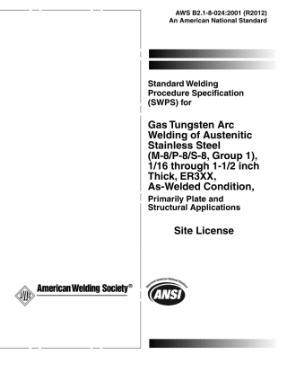 AWS B2.1-8-024-2001 (2012).pdf