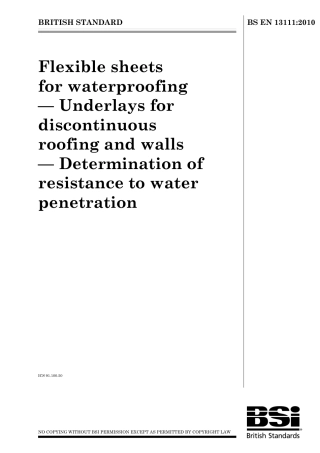 BS EN 13111-2010.pdf