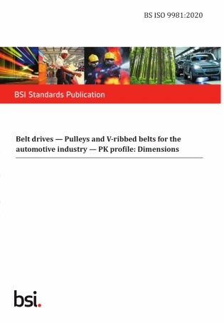 BS ISO 9981-2020.pdf