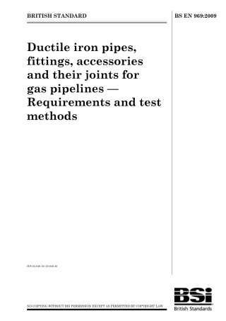 BS EN 00969-2009.pdf