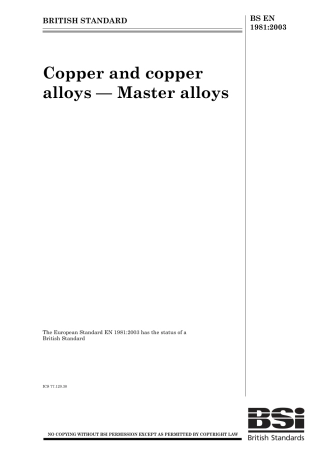 BS EN 01981-2003.pdf