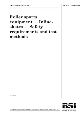 BS EN 13843-2009.pdf