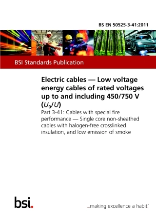 BS EN 50525-3-41-2011.pdf