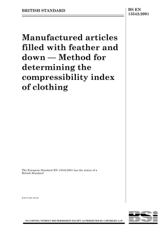 BS EN 13542-2001.pdf