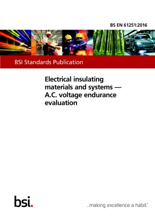BS EN 61251-2016.pdf