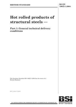 BS EN 10025-1-2004.pdf