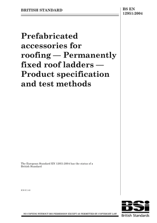 BS EN 12951-2004.pdf