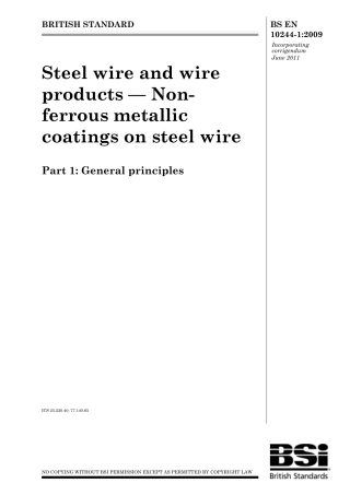 BS EN 10244-1-2009 (2011).pdf