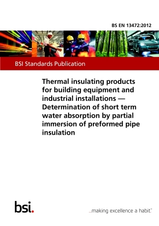 BS EN 13472-2012.pdf
