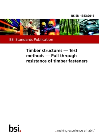 BS EN 01383-2016.pdf