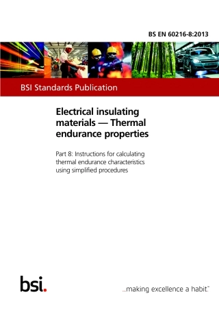BS EN 60216-8-2013.pdf