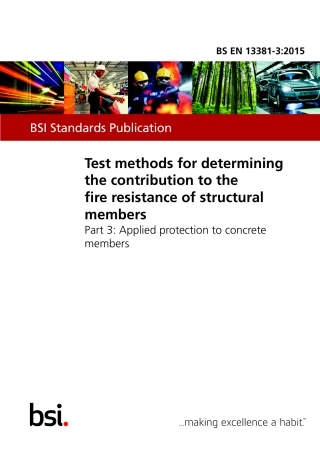 BS EN 13381-3-2015.pdf